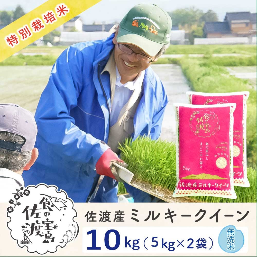 佐渡島産ミルキークイーン 無洗米10kg(5kg×2袋) 令和7年産 特別栽培米195962-0724