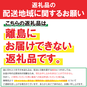 岩谷堂箪笥 サイドボード3号新 1台 伝統工芸品 家具 インテリア サイドボード キャビネット 和家具 和モダン 収納 木製 漆 南部鉄器金具 職人 手作り 逸品 高級家具 リビング 応接室 飾り棚 