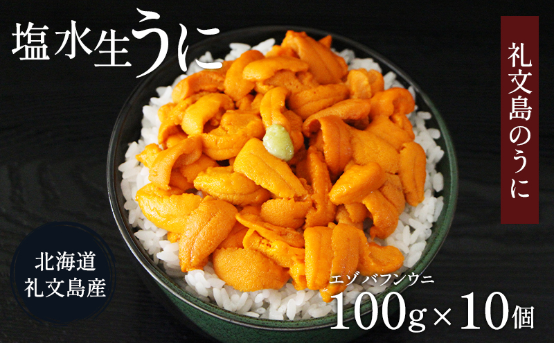 北海道 礼文島産  塩水ウニ （ エゾバフンウニ ）100g×10  生うに うに 雲丹 