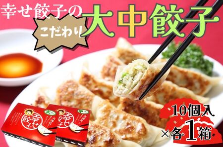 餃子 幸せ餃子のボリューム満点こだわり大・中餃子（各１箱）/ 餃子 ギョウザ 手作り ジャンボ 餃子 食べ比べ 餃子 006-21-1
