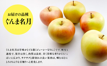１１月発送　特選　甚八りんごぐんま名月５kg　【マルジンサンアップル　11月　青森県産　平川市　りんご　ぐんま名月　5kg　特選　贈答用】
