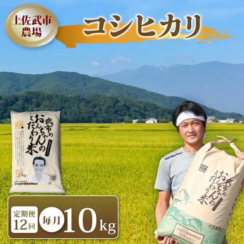 【12回定期便】 令和7年度産 コシヒカリ 10㎏  定期便 精米 白米 