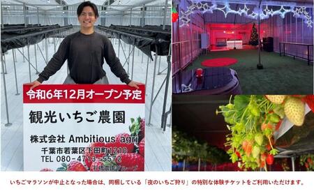 千葉市いちごマラソン10ｋｍマラソン参加券　駐車券　チケット 体験 参加券 マラソン 10km いちごのお土産 高校生以上 数量限定 千葉市 千葉県