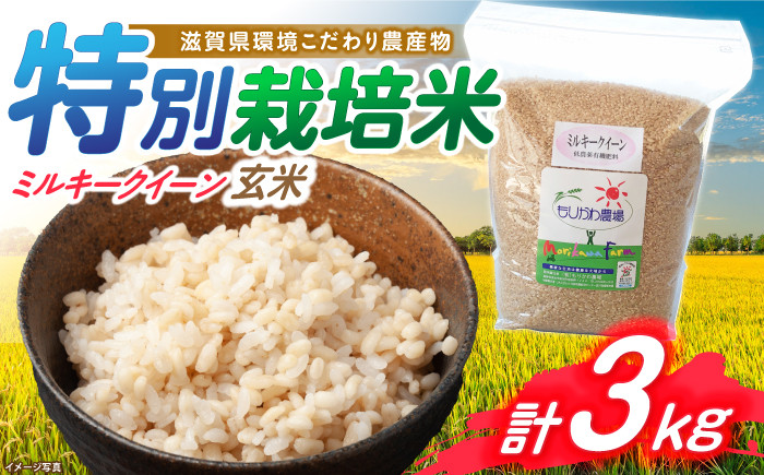 
            【新米：令和6年産】滋賀県 低農薬栽培 ミルキークイーン 玄米 3kg　滋賀県長浜市/有限会社もりかわ農場 [AQBL022] 米 お米 玄米 新米 3kg  米 お米 ご飯 ごはん ゴハン
          