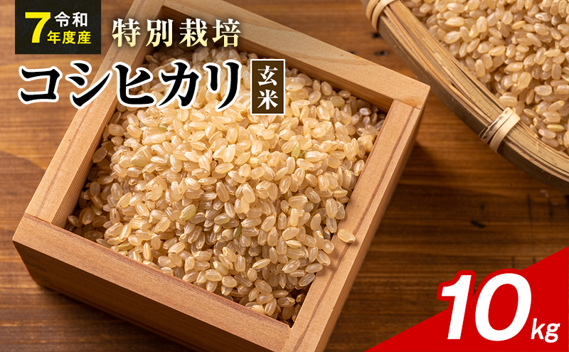 令和7年産 特別栽培米 コシヒカリ 玄米 10kg 静岡県産 色彩選別済 食に意識高い方へオススメ