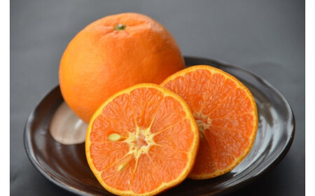 カラマンダリン 約3kg/サイズおまかせ　※2026年4月上旬～2026年5月上旬頃に順次発送予定(お届け日指定不可)　紀伊国屋文左衛門本舗　【kstb471B】