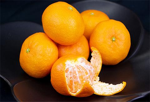 『先行予約』【6月下旬発送予定】唐津産 温室みかん 1.8kg 化粧箱 ハウスみかん ミカン 果物 フルーツ ギフト