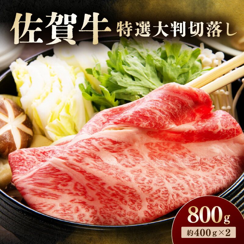 【ふるさと納税】佐賀牛 特選大判切落し 800g 194-J1902