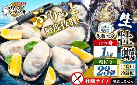 坂越かき むき身 約500g×2パック、 殻付き 23個【ナイフなし】 牡蠣 カキ 海鮮 貝【2027年1月以降発送予定】