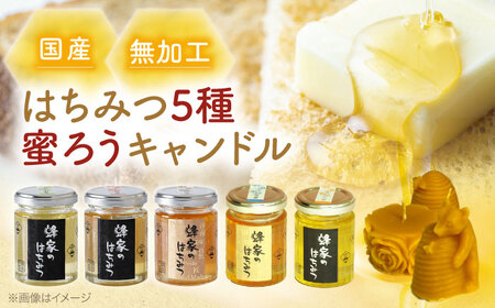 国産はちみつ5種と蜜ろうキャンドルセット 純粋 はちみつ 国産 蜂蜜 アカシア 百花 ハチミツ キャンドル ろうそく 三次市/Beemonte[APCB004]