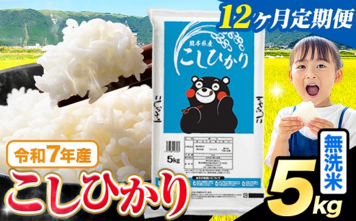 【12ヶ月定期便】令和7年産  無洗米 こしひかり 5kg《お申込みの翌月出荷》熊本県産 ふるさと納税 無洗米 精米 米 こめ ふるさとのうぜい コシヒカリ コメ お米 おこめ