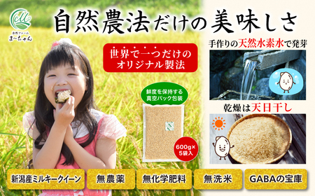 先行予約 無農薬 発芽玄米 無化学肥料 ミルキークイーン 3kg(600gx5袋) 無洗米 天然水素水使用でおいしさ激増 新潟産 【010S484】 [010S484]