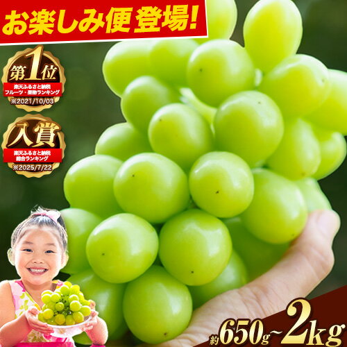 岡山県産 シャインマスカット 約1.2kg 2房 葡萄 果物 訳あり 優品 スイーツ フルーツ デザート 岡山県矢掛町《3-10営業日以内に出荷(土日祝除く)》