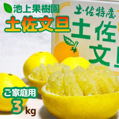 ふるさと納税 いの町 土佐文旦　家庭用3kg(池上果樹園)