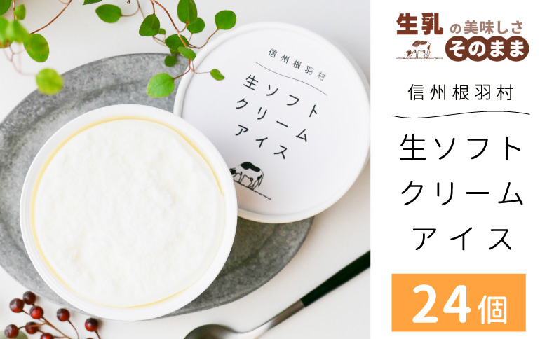 【スピード発送】1日最高800個売れた！ソフトクリームを再現★生ソフトクリームアイス(80ml)×24個