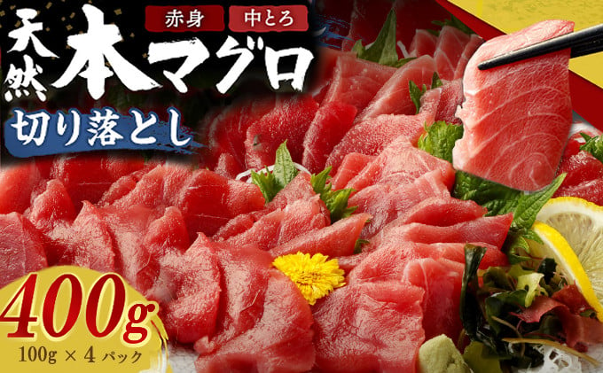 
天然本まぐろ 赤身 中とろ 切り落とし 400g 小分け(100g×4パック) 訳あり マグロ 刺身 カルパッチョ まぐろ丼 まぐろ漬け丼 魚 惣菜 海鮮丼 魚介類 食べきりサイズ 冷凍 不揃い 傷 規格外 緊急支援品 10000円
