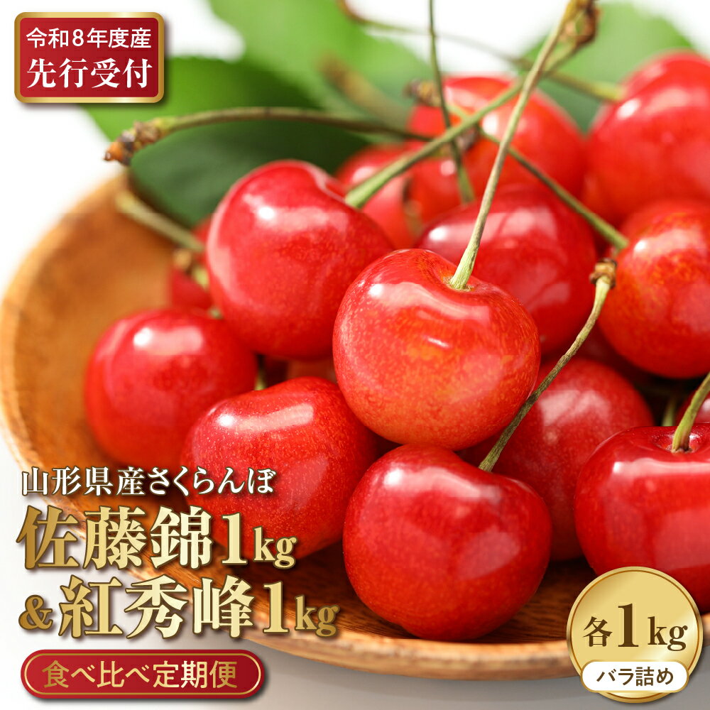 【ふるさと納税】【 2026年産 先行予約 】 さくらんぼ 食べ比べ 2回定期便 佐藤錦 と 紅秀峰 各 1kg 500g × 2 山形県河北町産 【晴天畑】 サクランボ 贈答 ギフト 秀品 令和8年産 送料無料 山形県 河北町