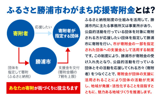 【返礼品なし】ふるさと勝浦市わがまち応援寄附金 国際武道大学 寄附額 5000円 千葉県 勝浦市 寄附のみ 応援 支援 大学支援 母校 母校支援 教育 教育支援 大学 st-p