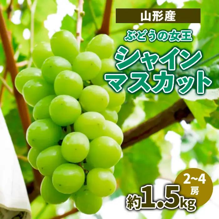 山形産 ぶどうの女王 シャインマスカット 約1.5kg(2～4房)【令和8年産先行予約】FS23-714 くだもの 果物 フルーツ 山形 山形県 山形市 2026年産