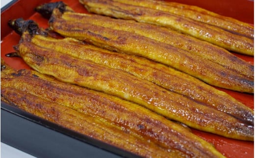 【年内配送】 国産うなぎ蒲焼大サイズハーフカット（頭尾なしで1袋70ｇ以上）×３袋セット /  うなぎ 鰻 ウナギ 田辺市 国産 国産うなぎ 国産鰻 うなぎ 鰻 鰻丼 うな丼 土用の丑の日 【ots005】