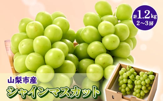 やみつきシャインマスカット 優 1.2kg (2～3房)【1304362】