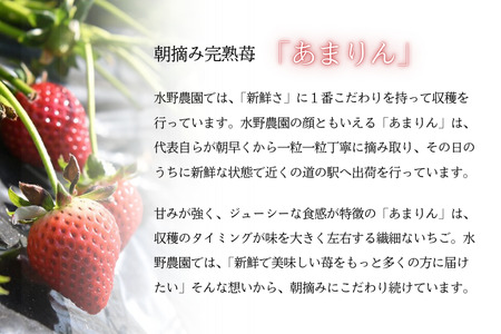 【訳あり】いちご『あまりん』サイズミックス 【潰れが気にならない方限定】　【苺】 イチゴ おおきい スイーツ あかい 果物 ふるさと納税 いちご うまい フルーツ 期間限定 人気いちご 甘い いちご 