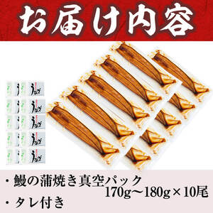 うなぎの大楠＜特大＞10尾セット計1.7kg(170g×10) うなぎ 鰻 ウナギ 10尾 国産 九州産 蒲焼き かばやき 冷凍 うな重 ひつまぶし タレ 山椒 真空パック ランキング 人気 g4-0
