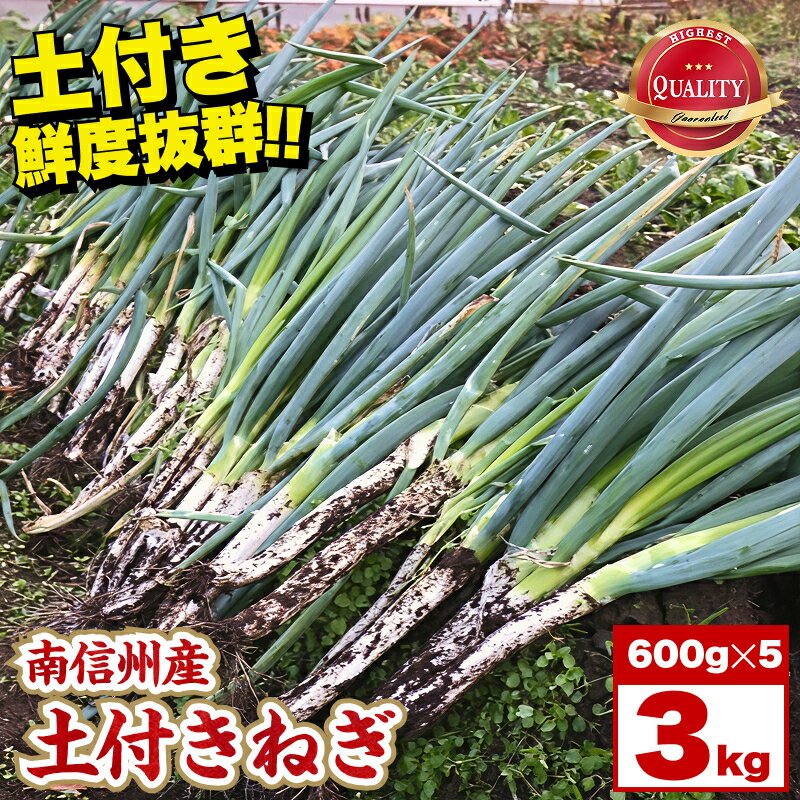 【ふるさと納税】【南信州産】土付きねぎ　3kg(600g×5袋) JAみなみ信州DMセンター飯田市 | 土付きねぎ ねぎ ネギ 野菜 南信州 新鮮 送料無料 ふるさと納税 長野県 飯田市 K11