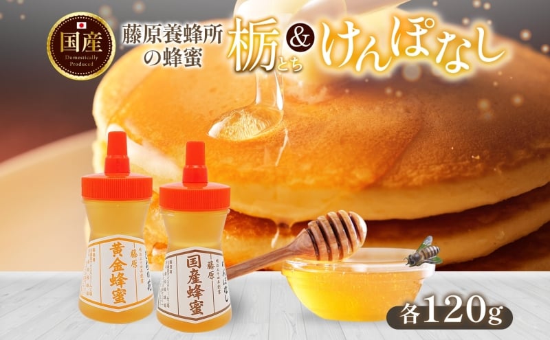 
            藤原黄金蜂蜜 栃 国産蜂蜜 ケンポナシ 各120g 計240g はちみつ とち 玄圃梨 国産 単花蜜 朝しぼり 完熟 ハチミツ パン 菓子 トースト ホットケーキ ヨーグルト 調味料 隠し味 お取り寄せ ポリ容器 常温 常備 送料無料 藤原養蜂場 岩手県 盛岡市
          