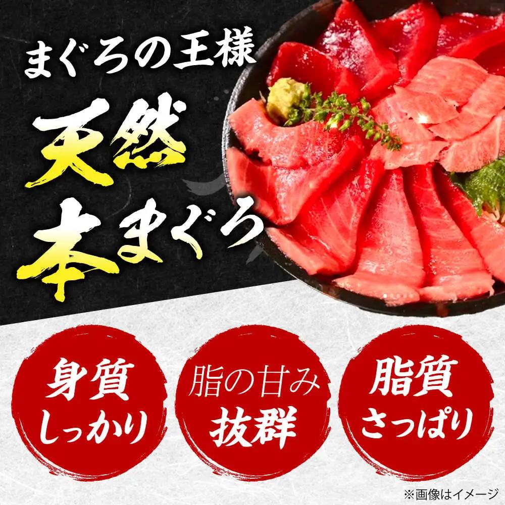 【全12回定期便】たね熟天然本まぐろ大トロ(960g) [AOCE030] まぐろ