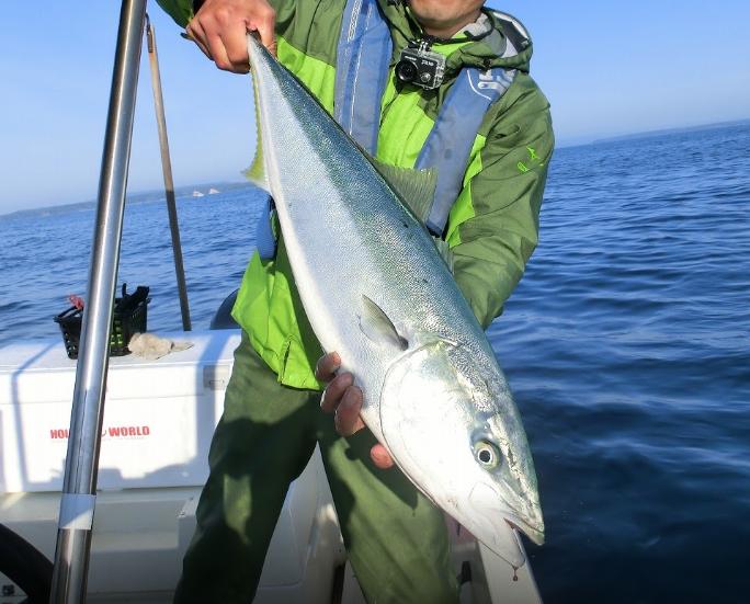 船釣り体験