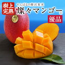 【ふるさと納税】 先行予約 【樹上完熟】 燦々 マンゴー 優品 選べる 1.0kg（2～3玉） 1.5kg（3～6玉） 2kg（4～6玉） 国産 農家直送 沖縄 沖縄県産 冷蔵 フルーツ 果物 くだもの 贈答 ギフト 【2025年6月末以降発送予定】