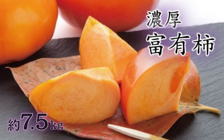 【秋の美味】【和歌山ブランド】濃厚！富有柿　秀品　L～３Ｌサイズ　約7.5kg入り【ard014E】