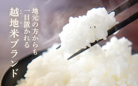 【令和6年 新米】越地 (こいち) 産 コシヒカリ (玄米) 計5kg [m24-a007]