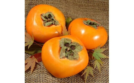 和歌山の 種なし 柿 約7.5kg【秀品：サイズ・品種おまかせ】和歌山県産/紀伊国屋文左衛門本舗　※2026年9月下旬～2026年11月下旬頃に順次発送予定(お届け日指定不可)【ntbt801B】