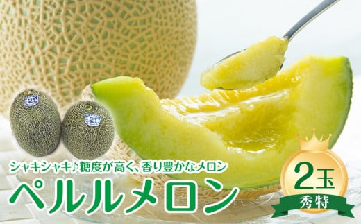 
            741.【先行予約】【JA】ペルルメロン 秀特×2玉 ※離島への配送不可 ※2026年6月中旬頃～7月中旬頃に順次発送予定【メロン めろん フルーツ 果物 鳥取県 北栄町 おすすめ 人気】
          