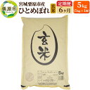 【ふるさと納税】《定期便6ヶ月》【令和6年産・玄米】宮城県栗原産 ひとめぼれ 毎月5kg (5kg×1袋)×6ヶ月