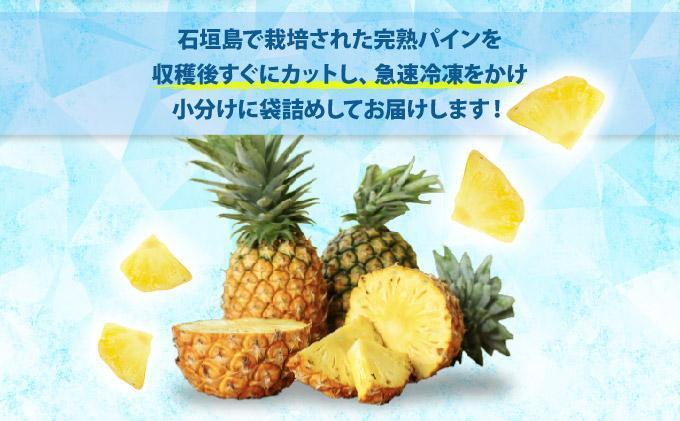 《6月以降発送》袋をあければそこは南国！完熟てとの黄金パインをカットして小分けでお届け！ 100g×6パック  TF-106 冷凍カットパイン（てとの黄金パイン）100g×6袋 | 沖縄県 石垣市 石