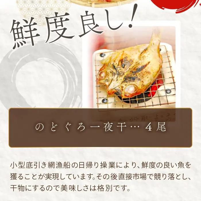 ノドグロ一夜干４尾セット【のどぐろ一夜干し のどぐろ 干物 4尾 1尾あたり120～140g 島根県産 大田市産 魚介類 魚 ノドグロ のど黒 高級魚 干物 真空パック 冷凍】