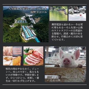 鹿野ファーム 肉のちょいつま5種アソート 10個セット