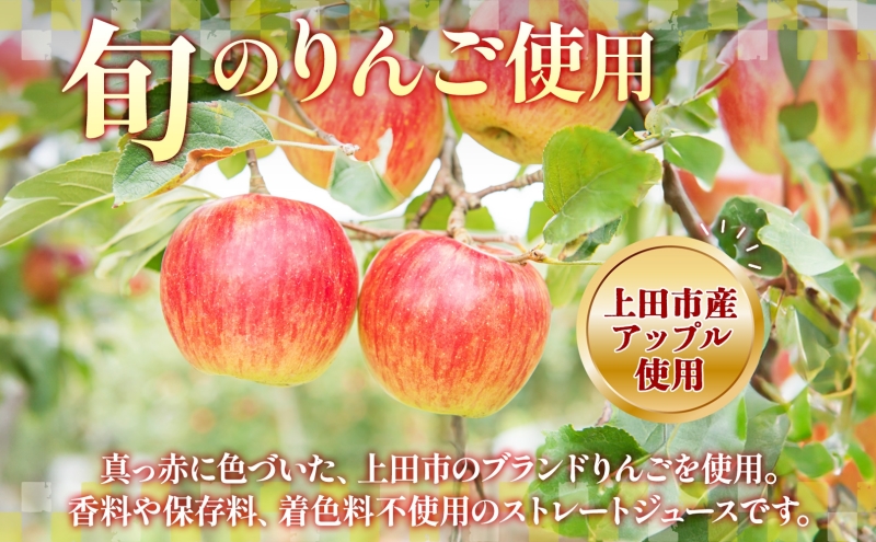 長野県 真田 RED アップル ジュース 瓶 1000ml 6本 飲料 果汁 100% フルーツ リンゴ 果物 りんご 林檎 無香料 無着色 ストレート にごり 旬 搾りたて 贅沢 戦国武将 ギフト 