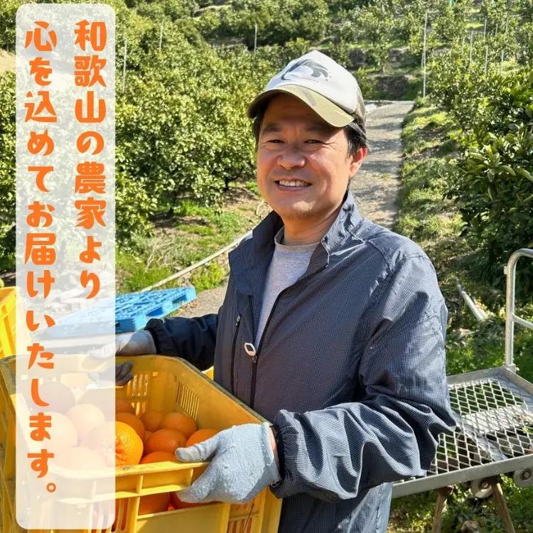 ［先行予約］［国産］紀州和歌山のご家庭用訳あり 柚子（ゆず）3kg ［MS139］