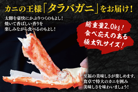 ボイル たらばがに 総重量 2.0kg ( 内容量1.6kg ) 9L シュリンクパック タラバガニ 【 数量限定 】【 工場直送 】 たらば蟹 タラバ カニ 蟹 肩 脚 足 魚介 海鮮_AF104