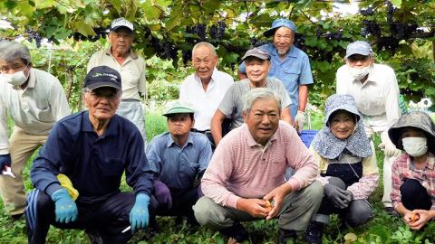 八千代夢ワインシリーズ　ヤマ・ソーヴィニョン（赤）・きぬ（白）2本セット（ 茨城県共通返礼品 八千代町 ）国産ワイン 赤ワイン 白ワイン[BW007sa]