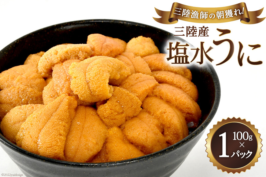 
            【期間限定発送】三陸産塩水うに 100g×1パック [村東商店 宮城県 気仙沼市 20564236] 魚介 海鮮 三陸 うに ウニ 塩水ウニ 雲丹 三陸産 冷蔵 期間限定 数量限定
          