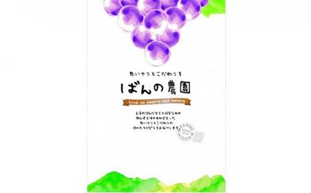 ぶどう 2024年 先行予約 甲斐ノワール（ぶどう）約800g 農薬散布無し／ハウス栽培  ブドウ 葡萄  岡山県産 国産 フルーツ 果物  ばんの農園 [No.5220-0878]