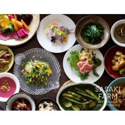 ふるさと納税 洞爺湖町 佐々木ファームよりお届けする旬の野菜詰め合わせ　〜ありがとうBOX 2025・小〜 |  | 03