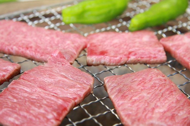 奥出雲和牛赤身焼肉用600g【牛肉 赤身 焼肉 BBQ しまね和牛 黒毛和牛 贈答用 冷蔵 チルド 日時指定 Ｂ-11】