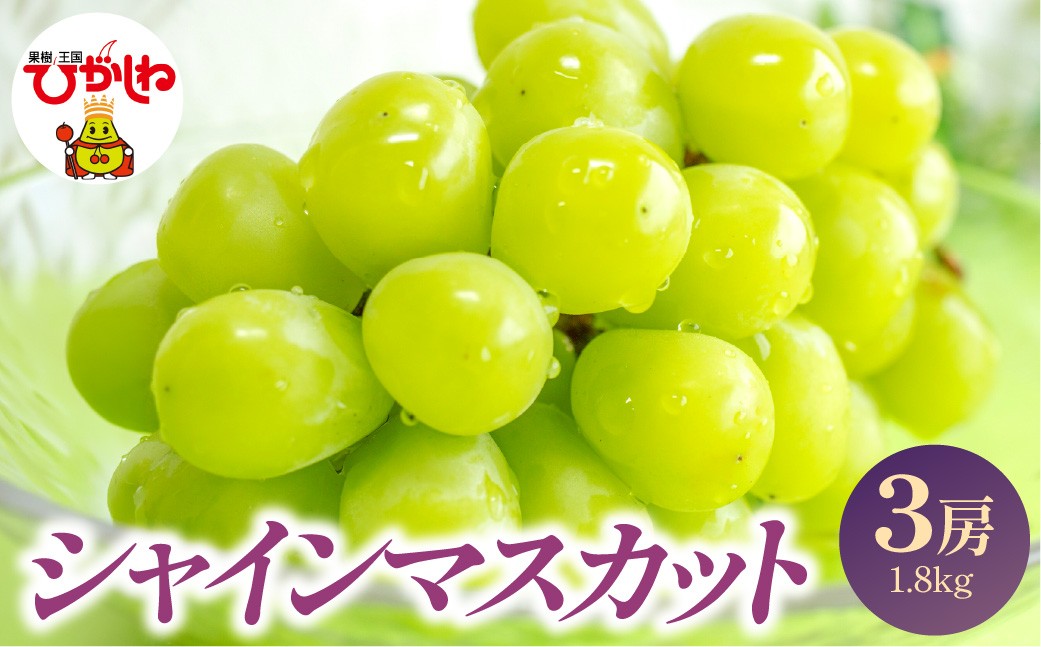 
                  【2026年産】 シャインマスカット 3房 1.8kg (1房約600g) 山形県 東根市 JA提供 hi001-052
                