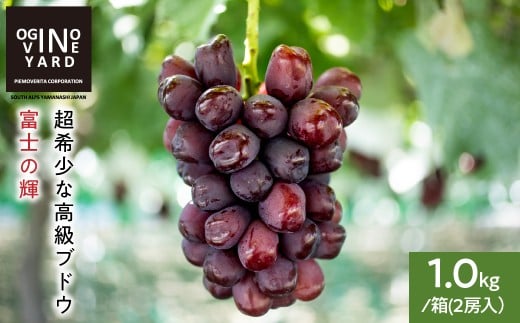 ２０２６年秋収穫先行予約 山梨県産 富士の輝１．０ｋｇ／箱 ２房入 ALPAK019